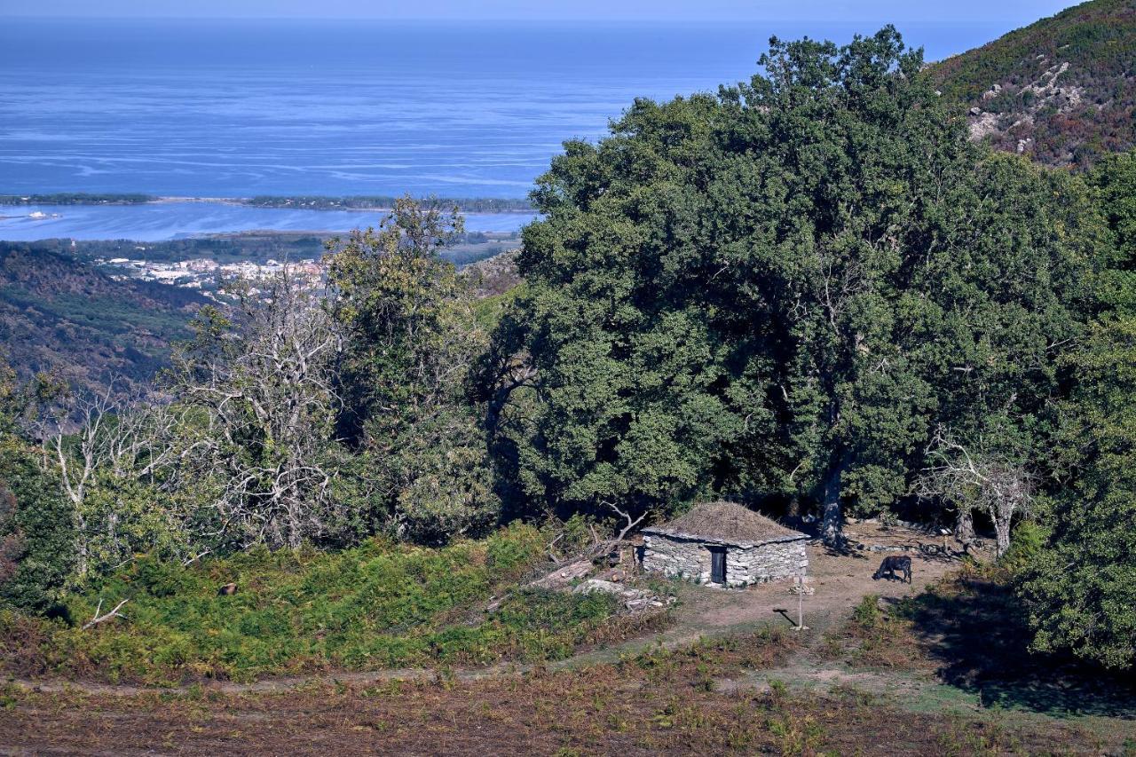 A Villa Di Rutali Bagian luar foto
